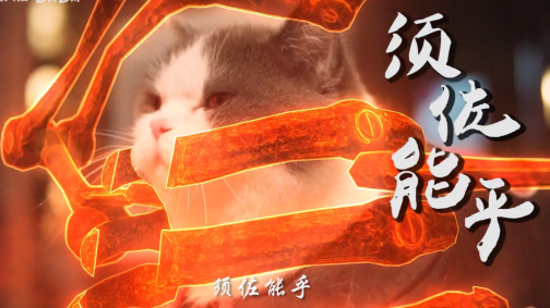案例 6